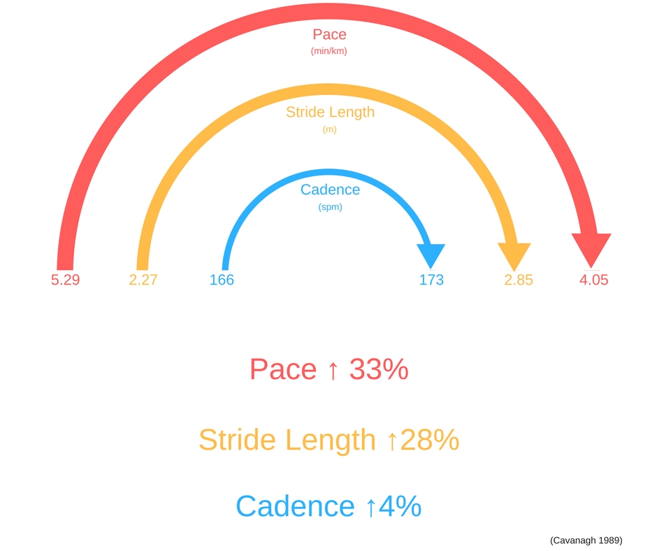Running Stride Length vs Cadence