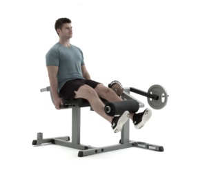 Quads Curl / Seated Knee Extension