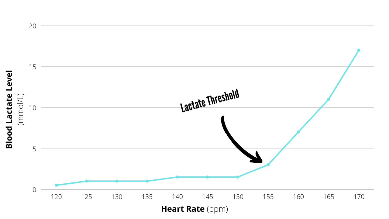 Lactate Threshold (1)
